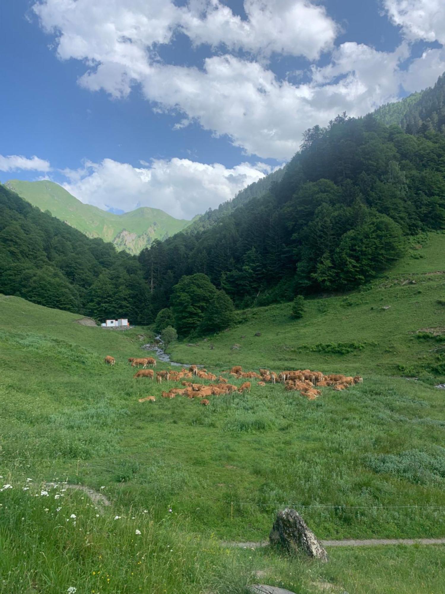Appartement 2 Personnes Cures Ski Luchon Bagneres-de-Luchon Ngoại thất bức ảnh